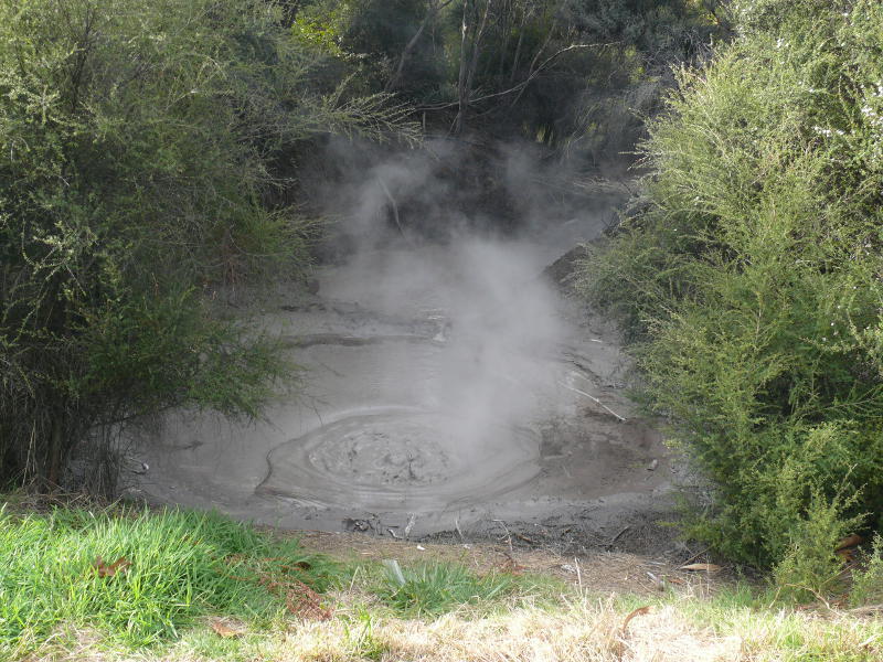 Kuiraupark in Rotorua 