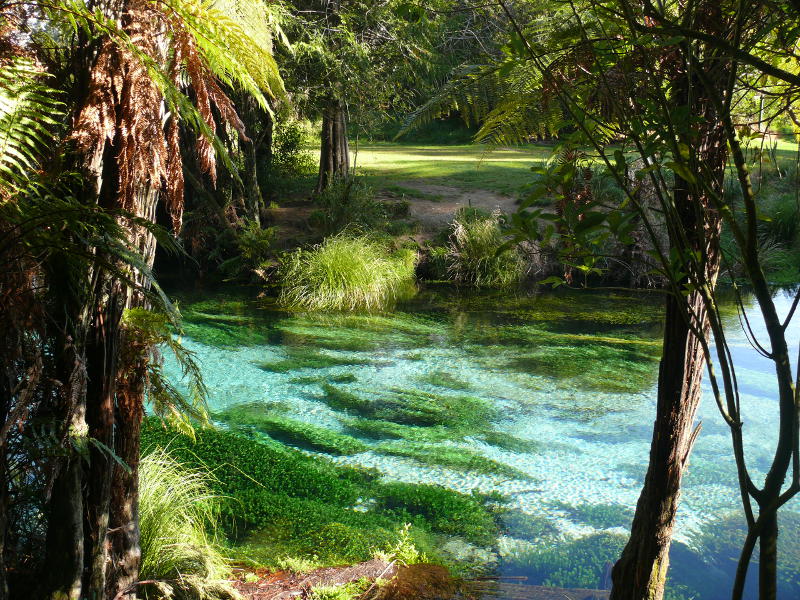 Glasklares Wasser, Hamurana Springs 