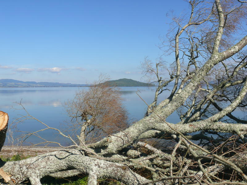 Lake Rotorua 