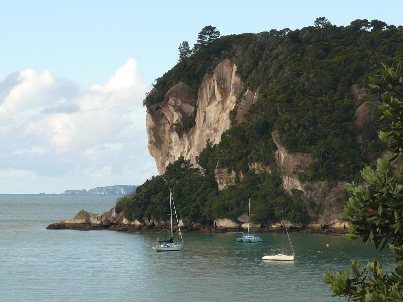 Hafen von Whitianga 