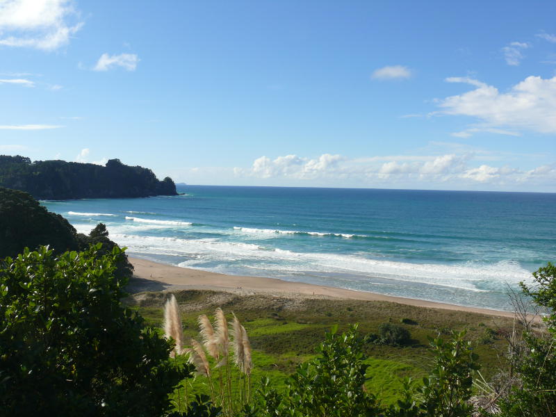 Hot Water Beach 