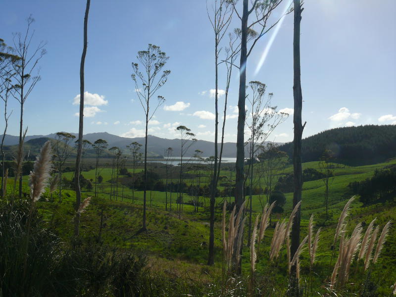 Whangapouha Harbour 