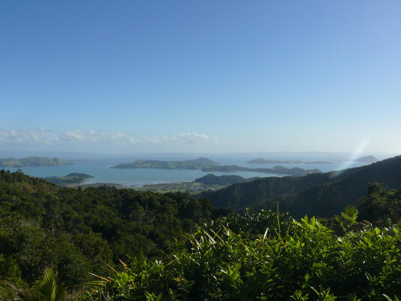Coromandel Halbinsel 