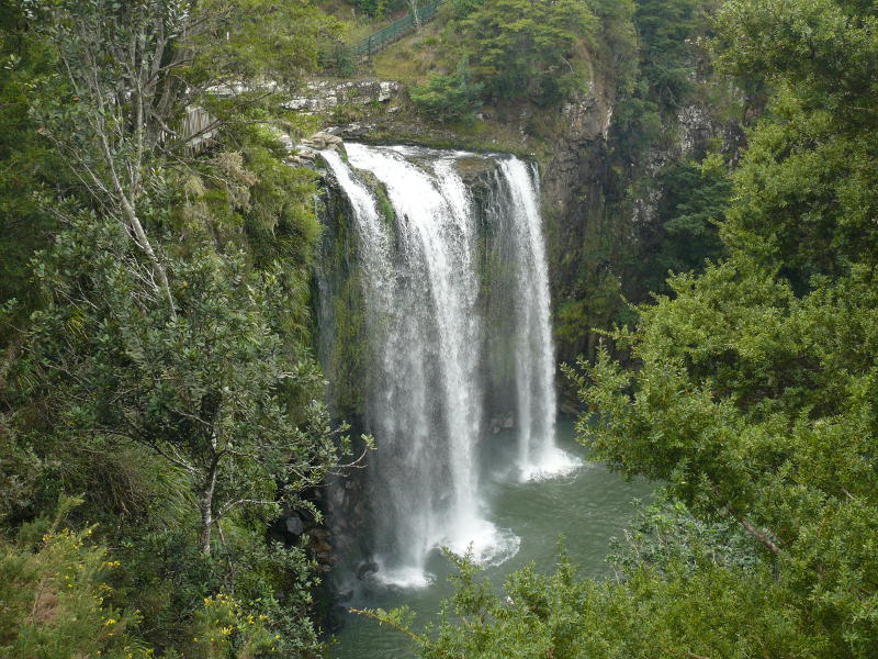 Whangarei Falls  