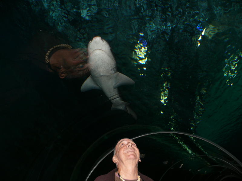 Aquarium, Auckland 