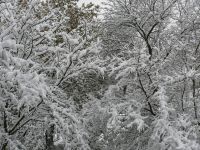 Klicken für grosses Bild